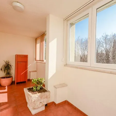 Appartamento Snjezana *